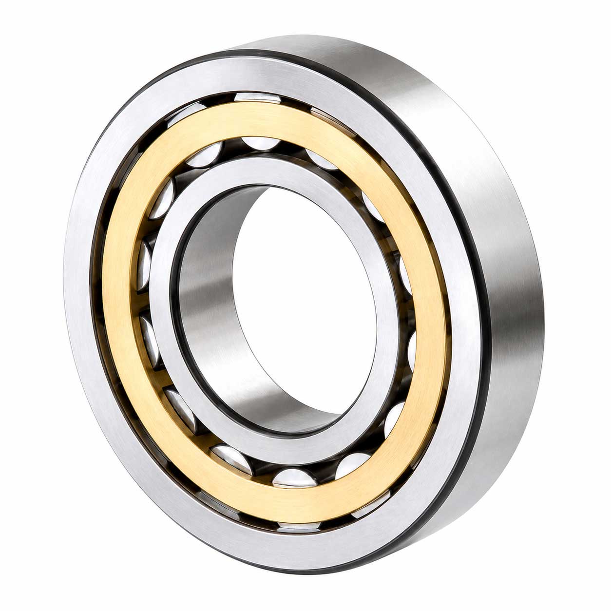 Single Row Cylindrical Roller Bearings